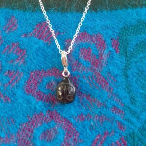 Lieve Heersbeestje Hanger- Met Zilveren Ketting Zwarte Tourmalijn - MEER INFO
